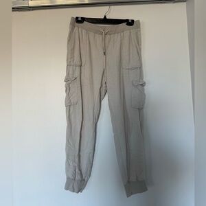 Aritzia Community Cargo Jogger Pant